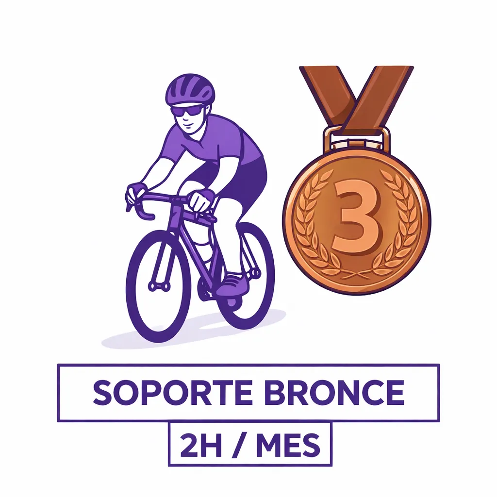 Soporte Bronce 2 horas al mes