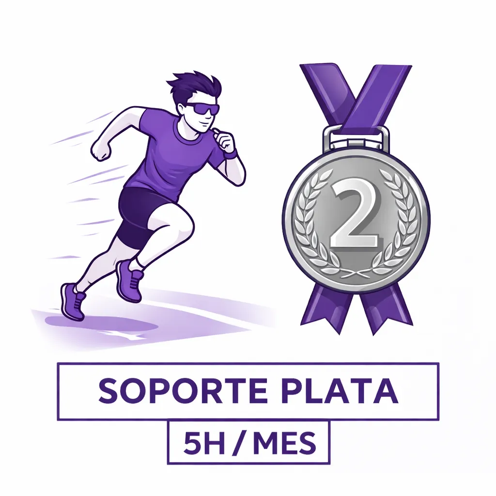 Soporte Plata 5 horas al mes